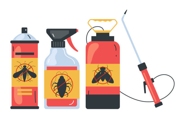 Best Spider Control Near Me  in Hereford, TX