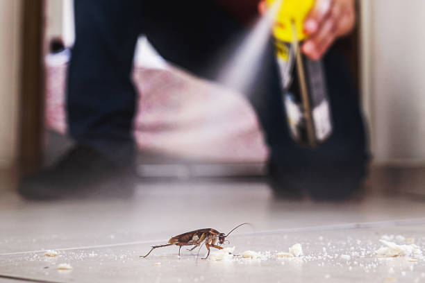 Best Exterminator Services  in Hereford, TX
