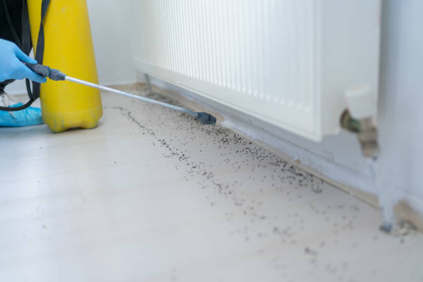 Best Best Pest Control Companies  in Hereford, TX