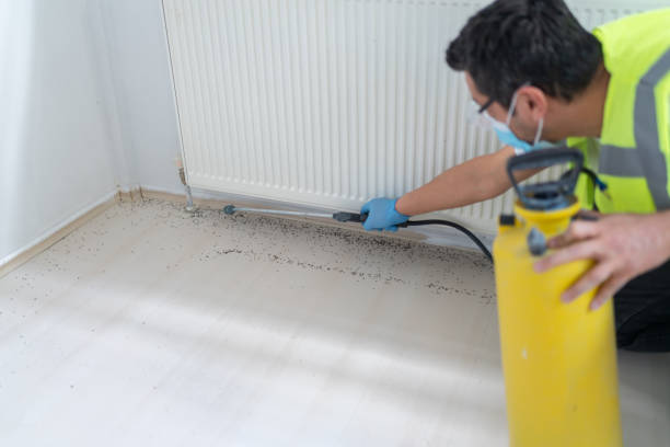 Best Pest Control for Businesses  in Hereford, TX