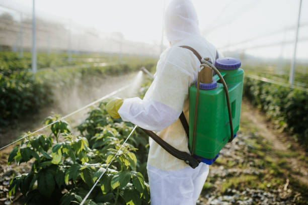 Hereford, TX Pest Control Company